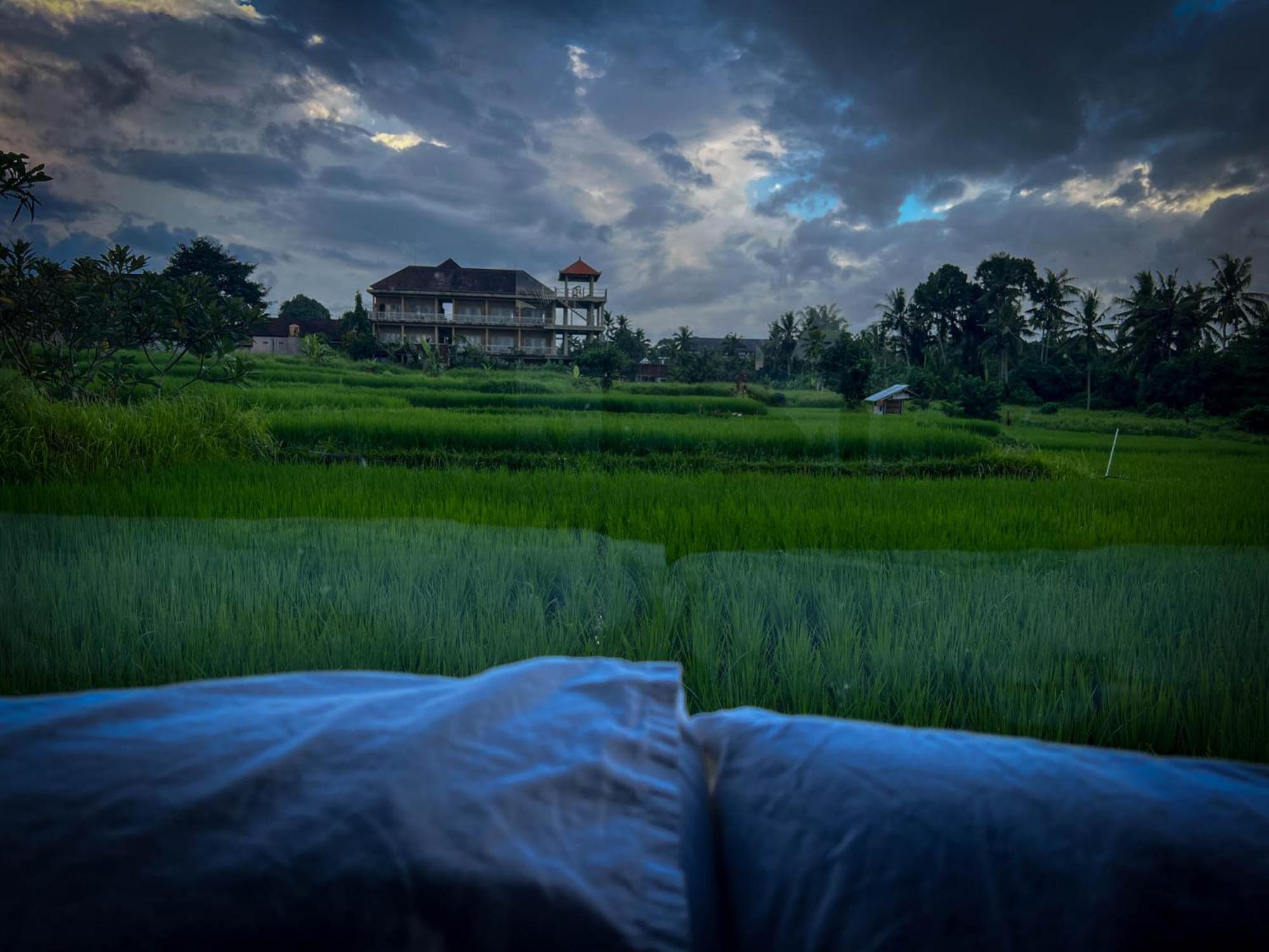 Villa Karma Ubud Eksteriør billede